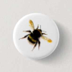 Bumblebee. Knapp