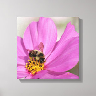 Bumblebee och Cosmos Canvastryck
