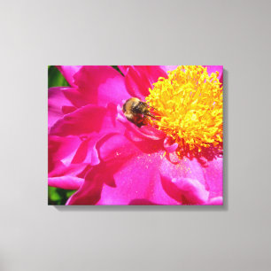 Bumblebee och Peony Canvastryck