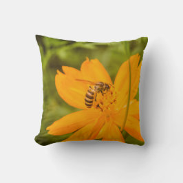 Bumblebee on a Sulfur Cosmos Kudde