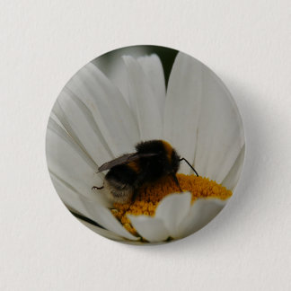 Bumblebee på blombrickan knapp