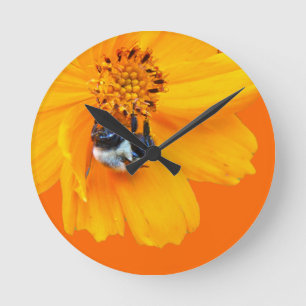 Bumblebee på Cosmos Rund Klocka
