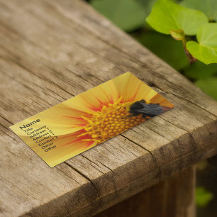 Bumblebee på Gult Dahlia-Blommigten Visitkort