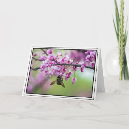 Bumblebee på Redbud-Blommar Kort