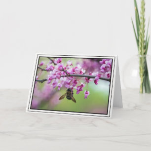 Bumblebee på Redbud-Blommar Kort