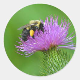 Bumblebee Sticker Runt Klistermärke