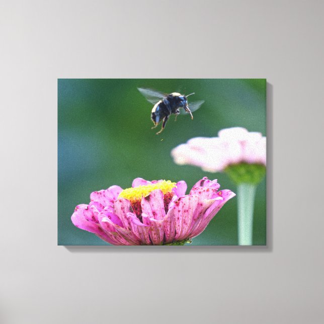 Bumblebees flygning canvastryck (Framsida)