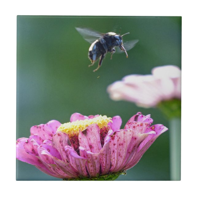 Bumblebees flygning kakelplatta (Framsidan)