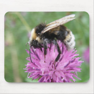 Bumblebees på en Thistle Mousepad Musmatta