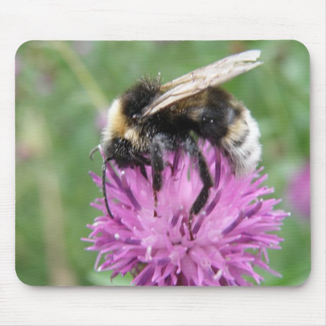 Bumblebees på en Thistle Mousepad Musmatta (Framsidan)