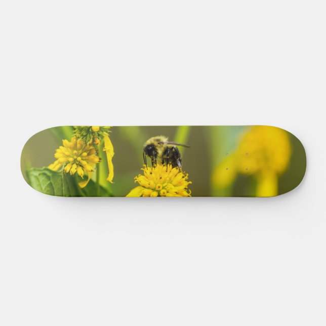 Bumblebeskartong Mini Skateboard Bräda 18,5 Cm (Horz)