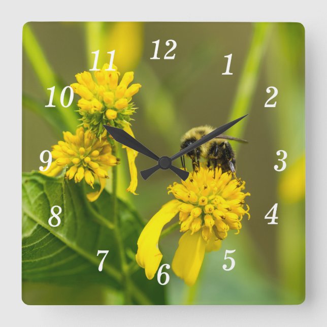 Bumblebeväggslås Fyrkantig Klocka (Framsida)