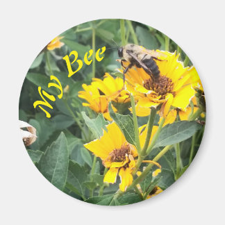 Bumblebi Förorening av en Gult blomma Magnet