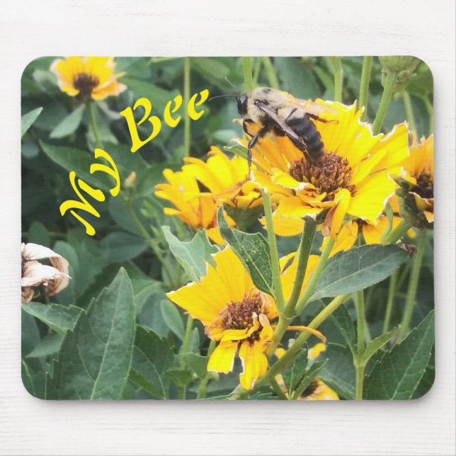 Bumblebi Förorening av en Gult blomma Musmatta (Framsidan)