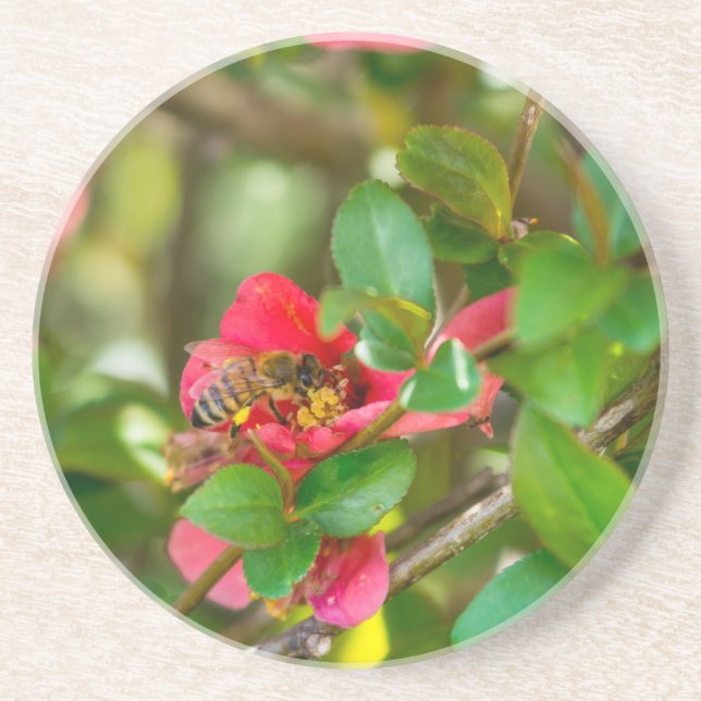 Bumblebi och Azalea Underlägg (Framsidan)