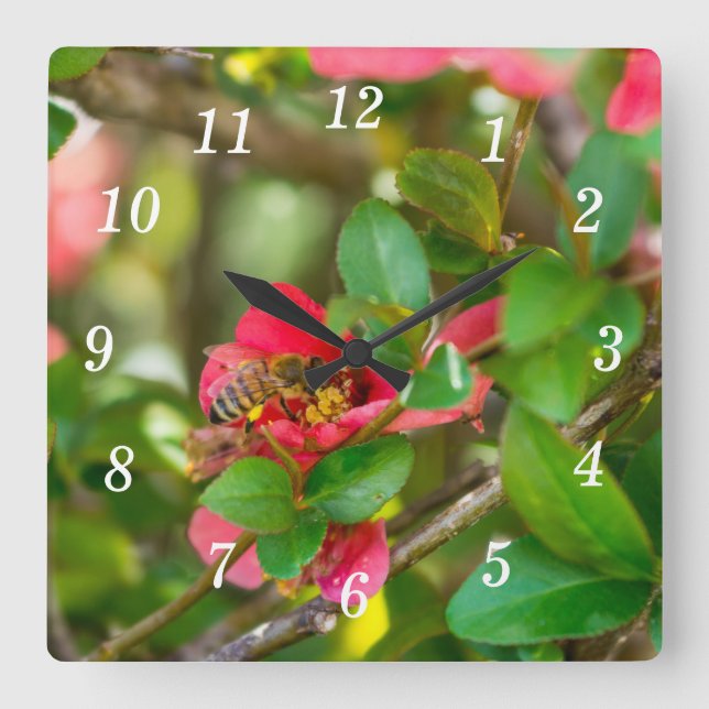 Bumblebi och azalea-väggklocka fyrkantig klocka (Framsida)