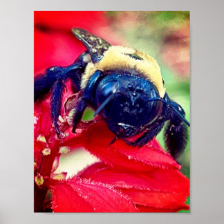 Bumblebi på blomsterfotografi Wall Decor Print Poster