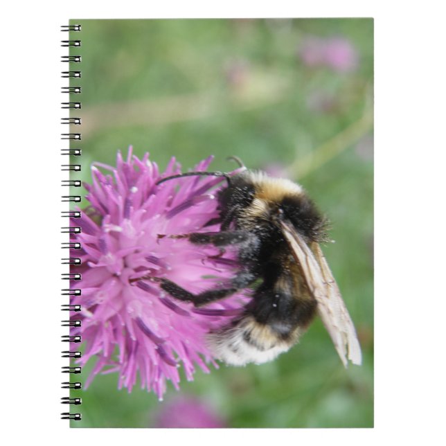 Bumblebi på en bärbar Thistle-dator Anteckningsbok Med Spiral (Framsidan)