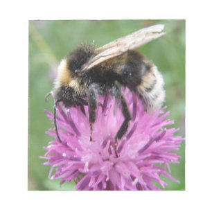 Bumblebi på ett Thistle-Anteckningsblock Anteckningsblock
