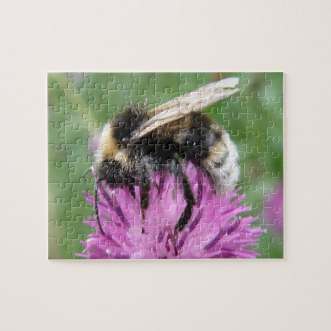 Bumblebi på ett Thistle Puzzle Pussel (Horisontell)