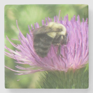 Bumblebi på flaska stenunderlägg