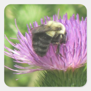 Bumblebi på flaskans etikett