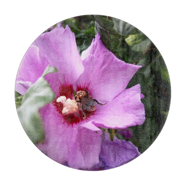 Bumblebi på Hibiscus Flower (Framsidan)