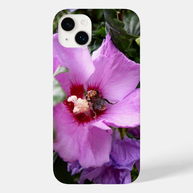 Bumblebi på Hibiscus Flower (Baksida)