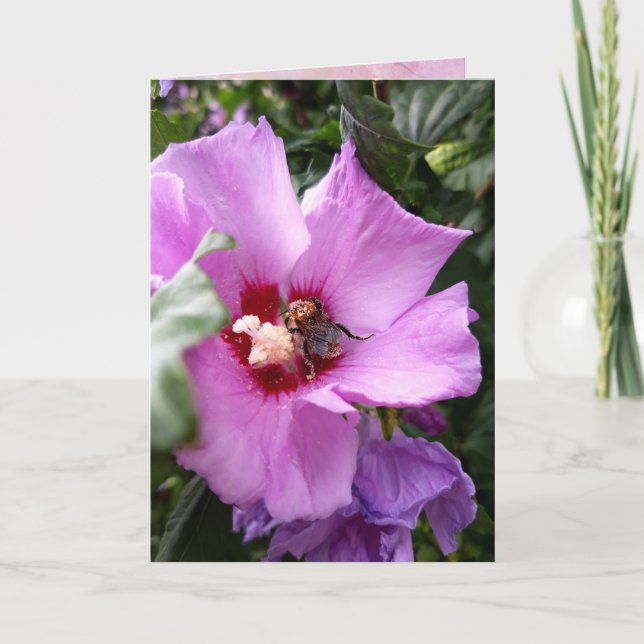 Bumblebi på Hibiscus Flower Kort (Framsida)