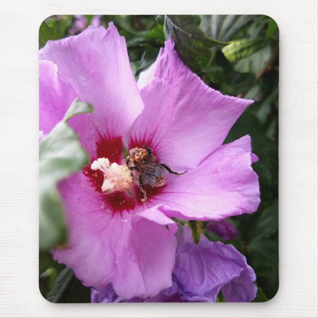 Bumblebi på Hibiscus Flower Musmatta (Framsidan)