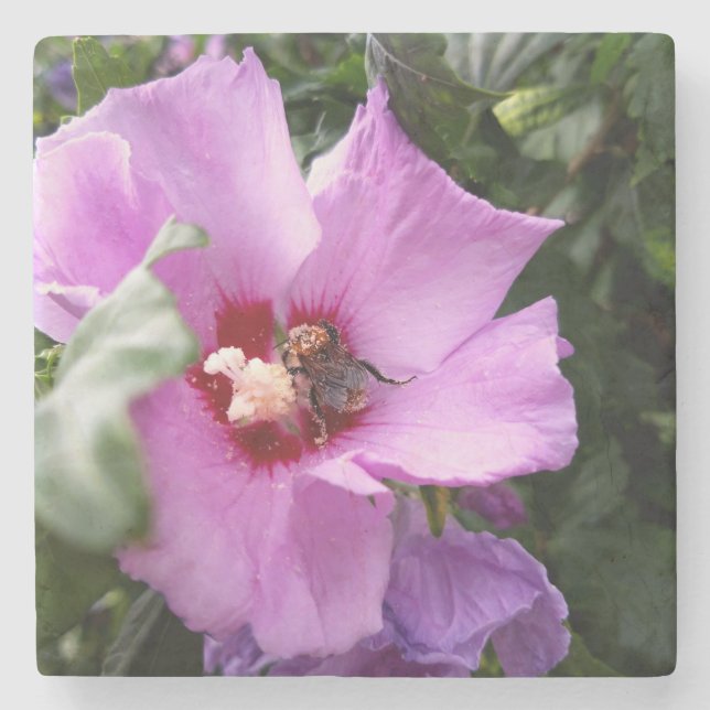 Bumblebi på Hibiscus Flower Stenunderlägg (Framsidan)