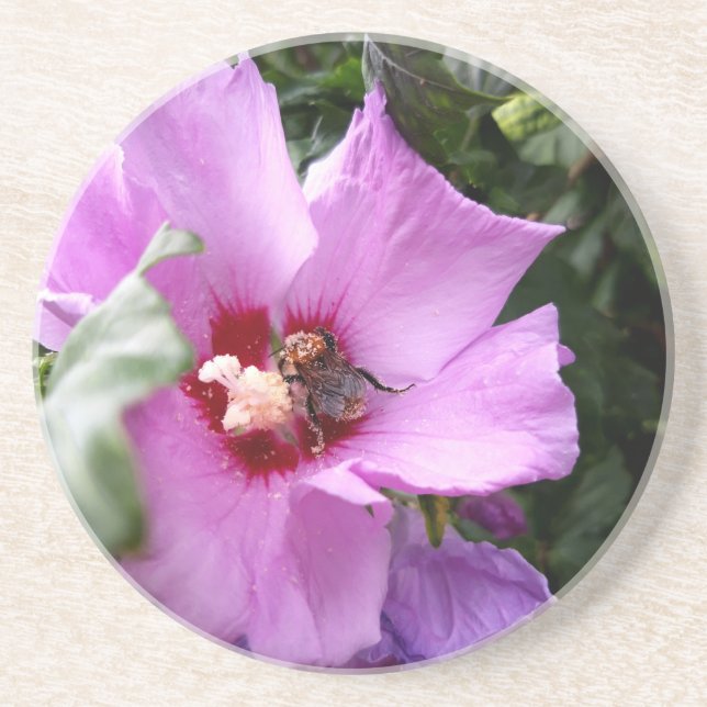 Bumblebi på Hibiscus Flower Underlägg (Framsidan)
