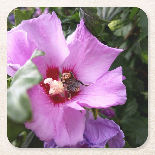 Bumblebi på Hibiscus Flower Underlägg Papper Kvadrat (Framsidan)