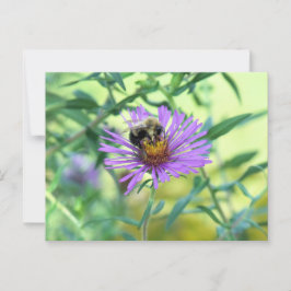 Bumblebi på Lila Daisy Vykort