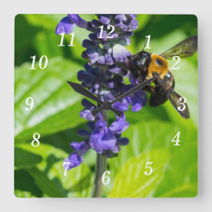 Bumblebi på salvia-väggsluss fyrkantig klocka