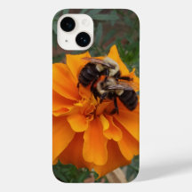 Bumblebin på Marigold Flower