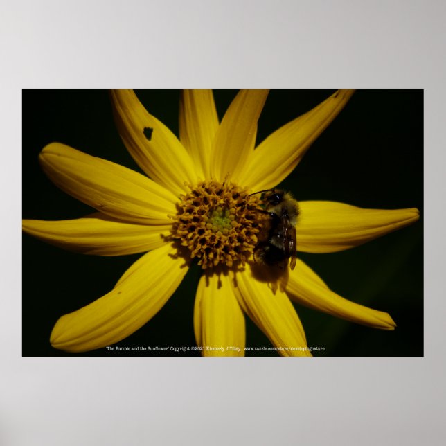 Bumblen och solrossen poster (Framsidan)