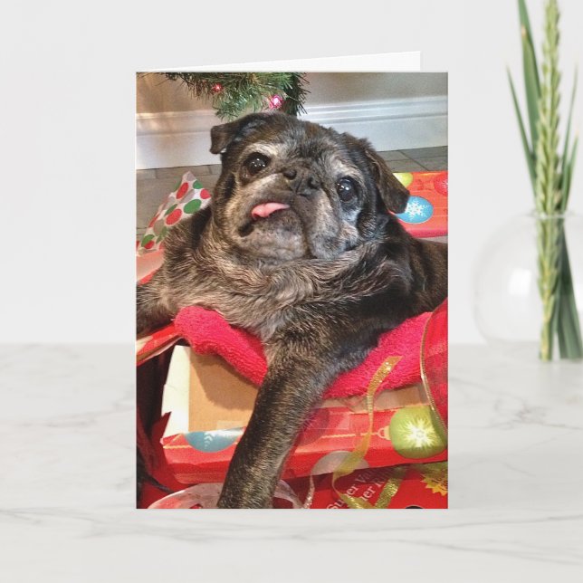 Bumblesinte julkort helgkort (Framsida)