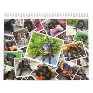 Bumblesnot 2014 kalender