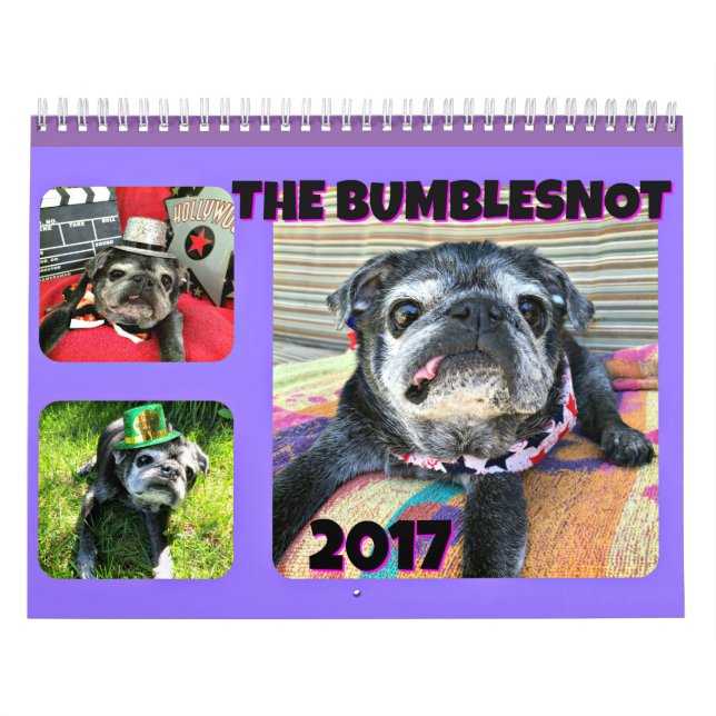 Bumblesnot 2017 kalender (Omslag)