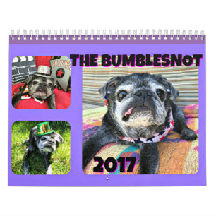 Bumblesnot 2017 kalender