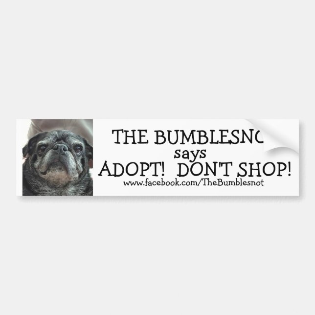 Bumblesnot bildekal: Adoptera! Shoppa inte! Bildekal (Framsidan)