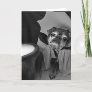 Bumblesnot Halloween kort: Räkning Pugula Kort