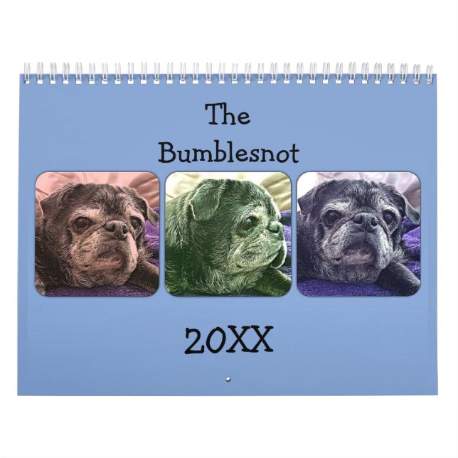 Bumblesnot kalender 2015 (Omslag)