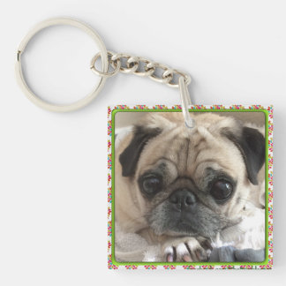 Bumblesnot Keychain: Den Itsy mops/räddingen är