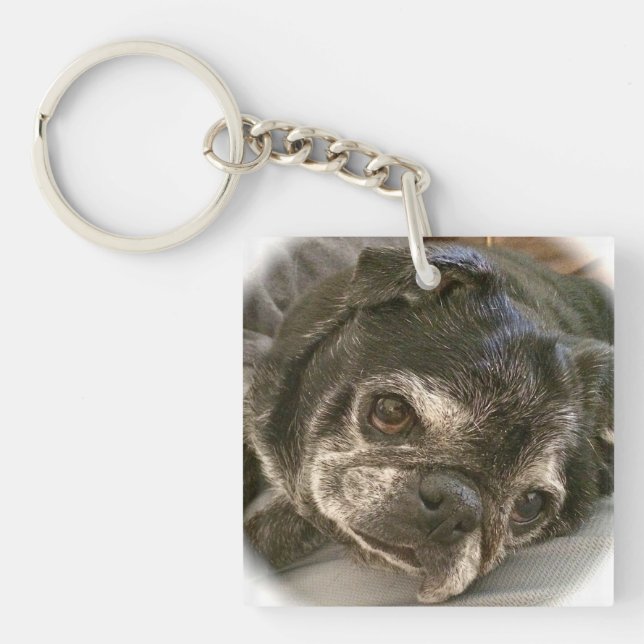 Bumblesnot keychain: Puggy behar? (Framsidan)