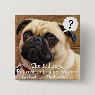 Bumblesnot knäppas: No-brainer för den Knapp