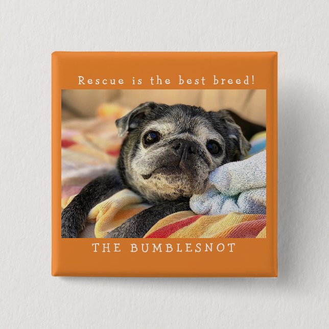 Bumblesnot knäppas: Räddingen är den bäst aveln! Knapp (Framsida)