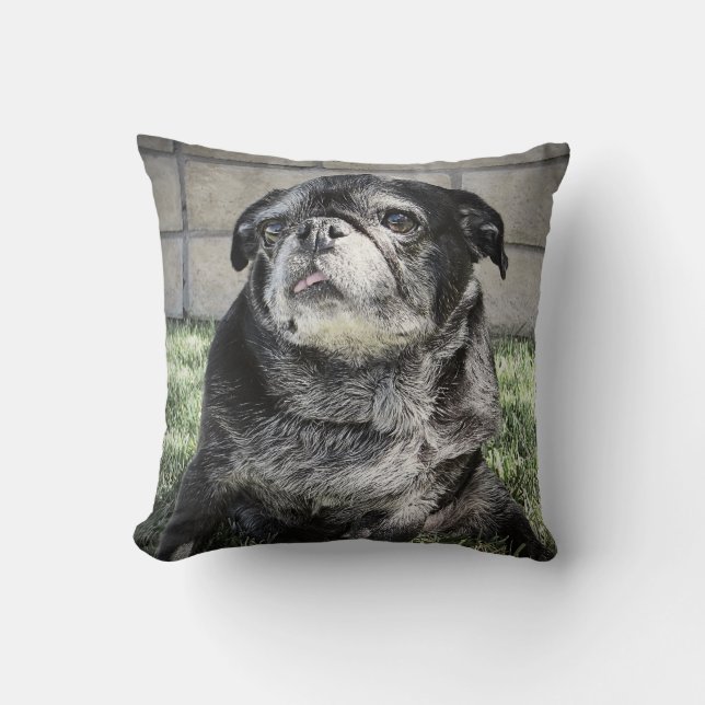 Bumblesnot kudder kudde (Framsida)