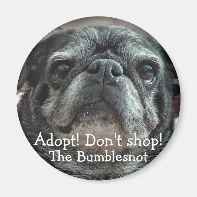 Bumblesnot magnet: Anta! Sälj inte! Magnet (Framsidan)
